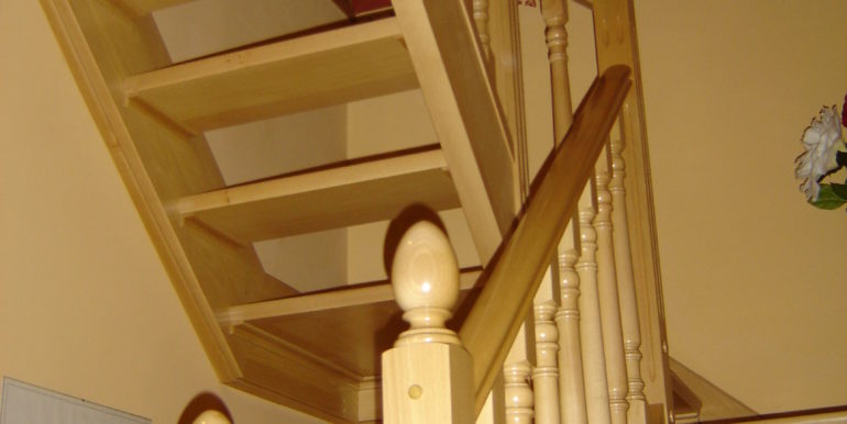 Copy (2) of Picture 243