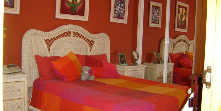 Copy (4) of Picture 239